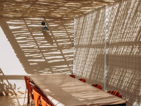 whatsapp image 2026-02-18 at 12.18.08.jpeg