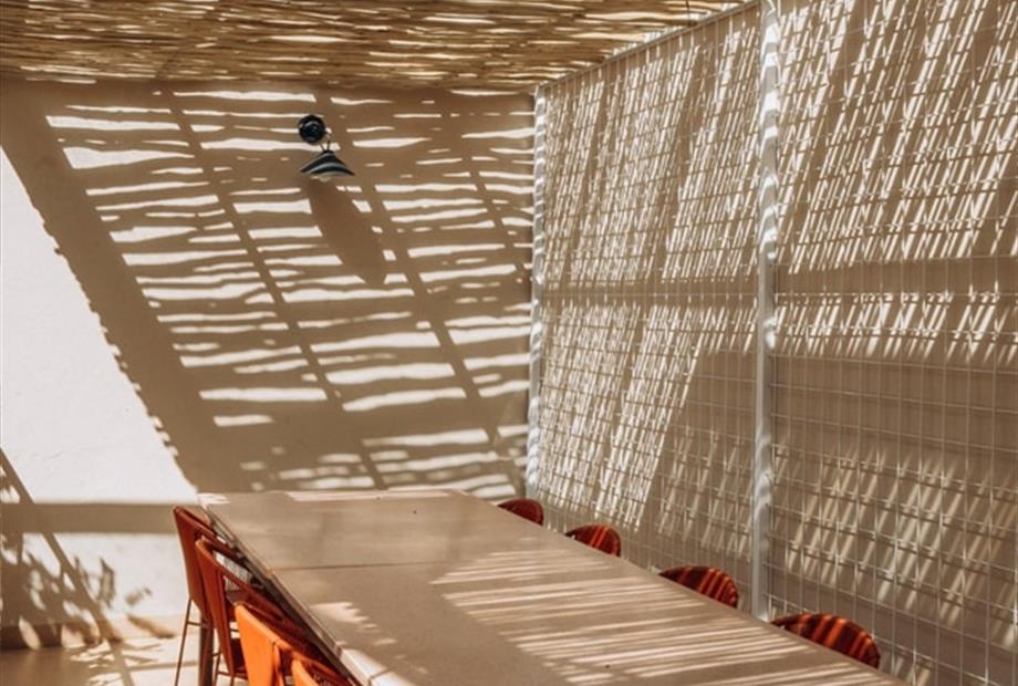 whatsapp image 2026-02-18 at 12.18.08.jpeg