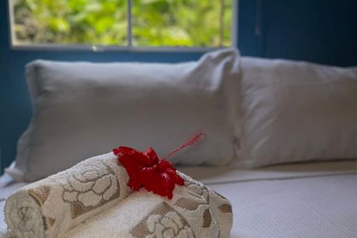 casa noronha martins 13.jpg