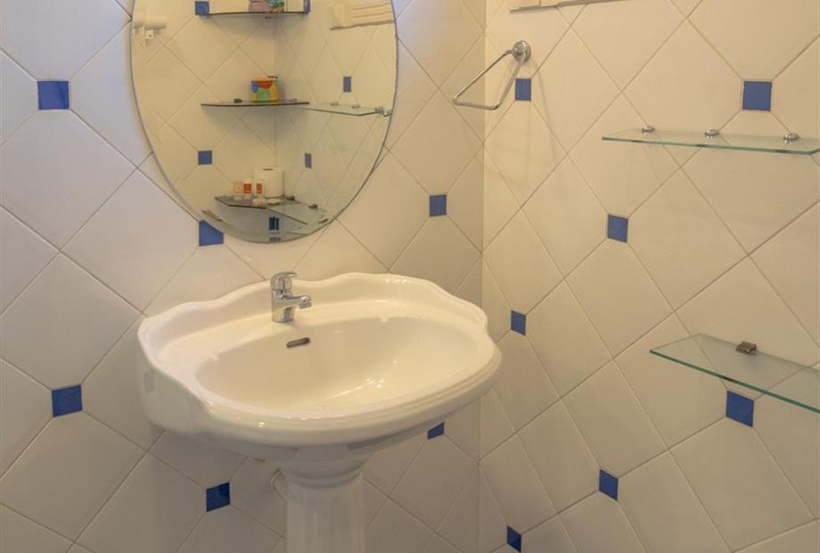 standard_vert-3.jpg