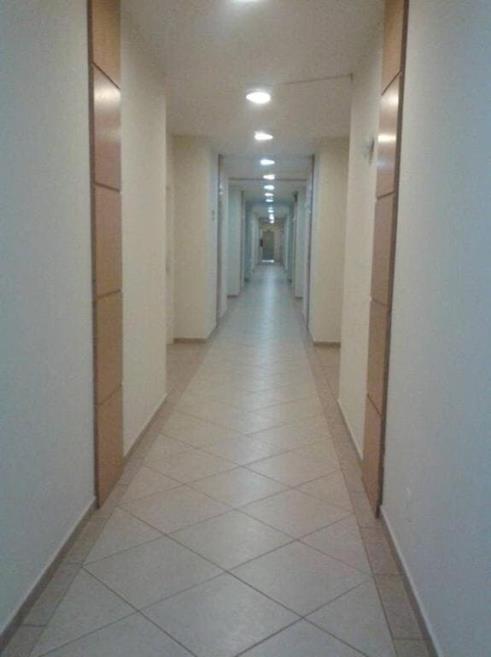 43019750.jpg