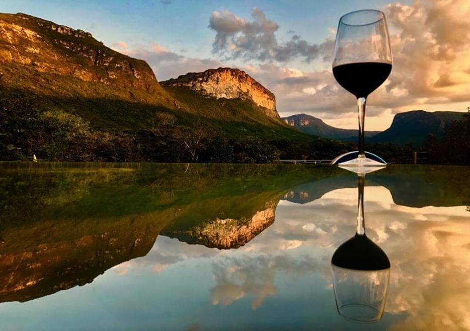 jardim vinho.jpg