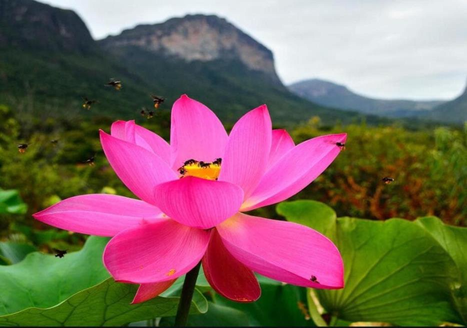 paisagem natural.jpg