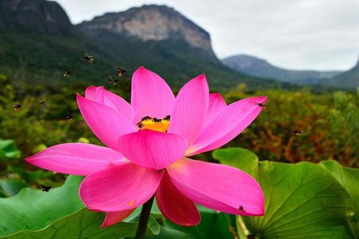 paisagem natural.jpg