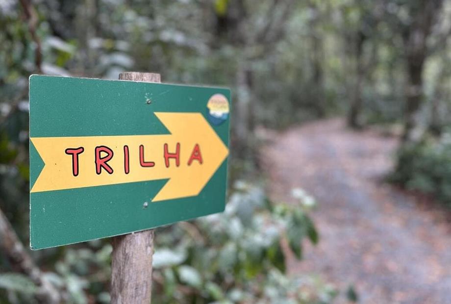trilha.jpg