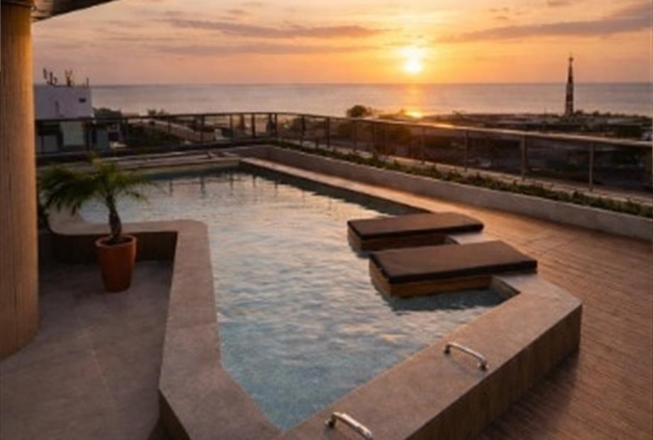 whatsapp image 2025-12-23 at 16.38.52.jpeg