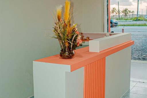 recepçao balcao.jpg