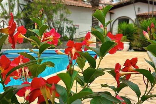 whatsapp image 2025-12-04 at 15.55.03 (4).jpeg