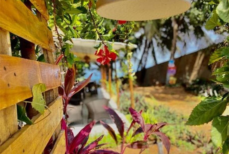 mar de venus ducha pós praia.jpg