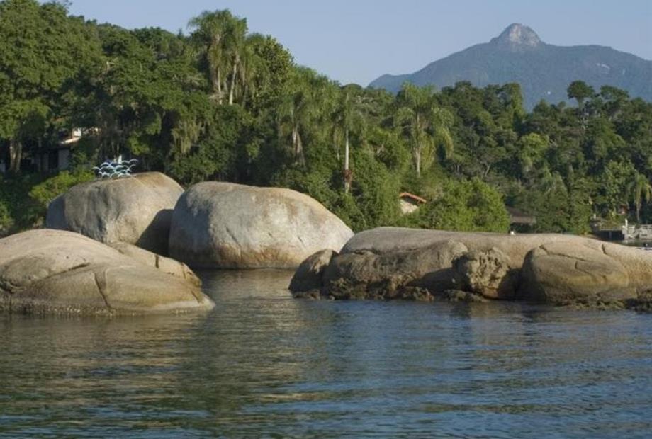 f587570e58b34a858af8436c96de9349 - copia (2).jpg