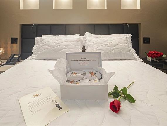 scfj - noite de núpcias (18).jpg