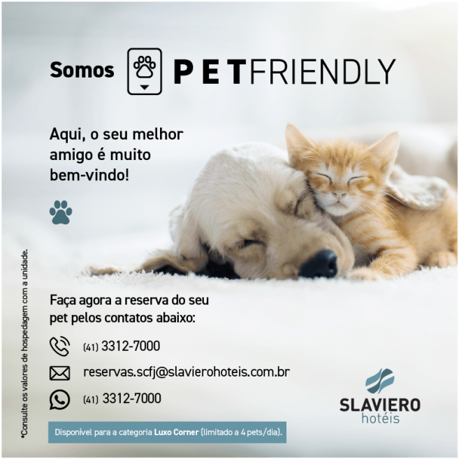 card-pet-friendly-slaviero hoteis_scfj.png