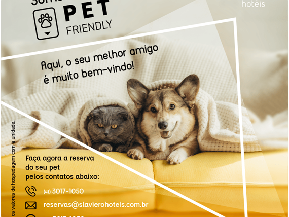 card-pet-friendly-slim hotéis_slxv.png