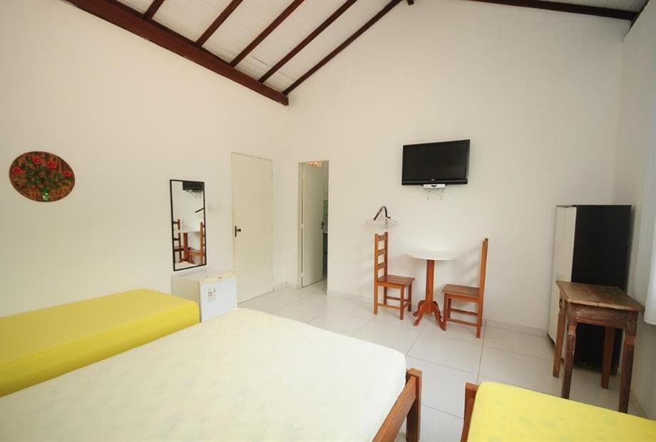 mandacaru standard3.jpeg