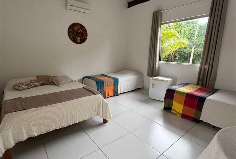 mandacaru standard9.jpeg