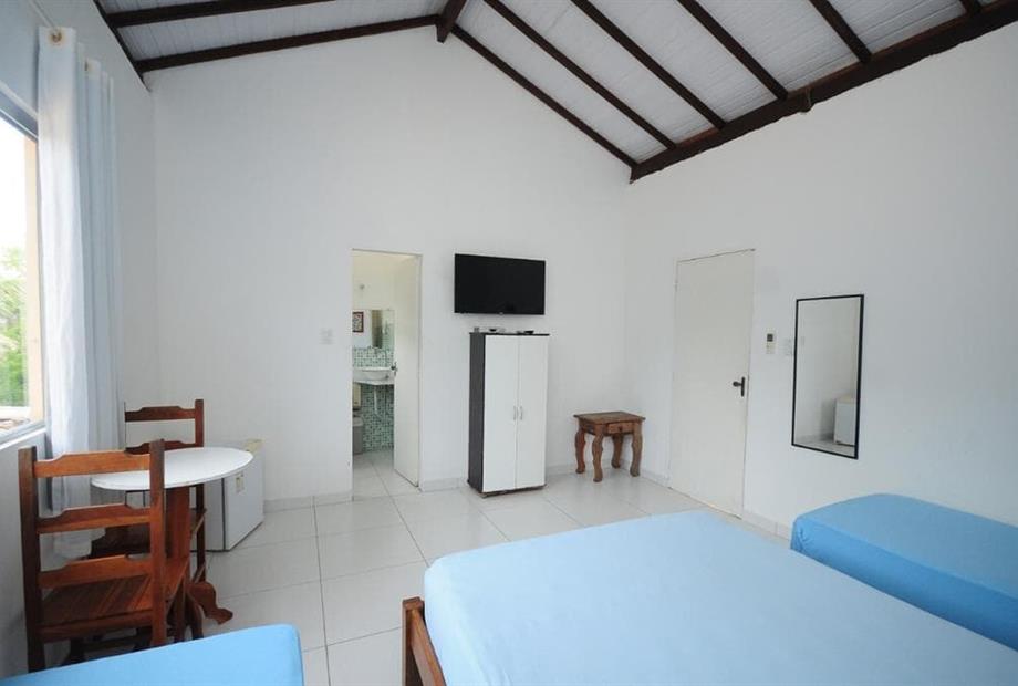 mandacaru standard5.jpeg