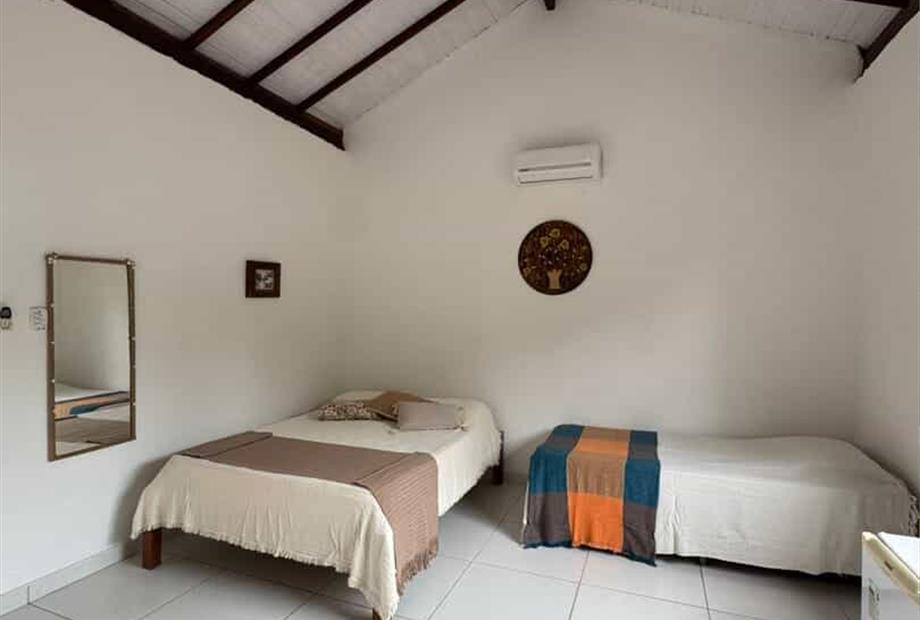 mandacaru standard11.jpeg