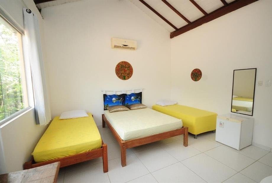 mandacaru standard15.jpeg