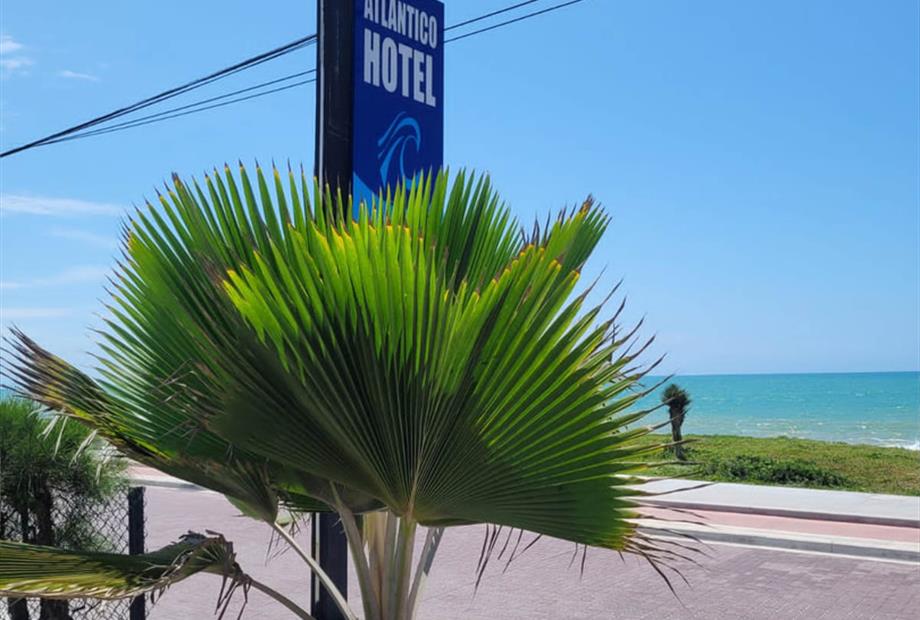 25102022-ext (7).jpg