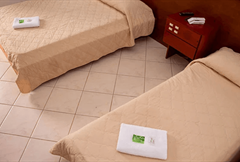 Executivo Quíntuplo 5S