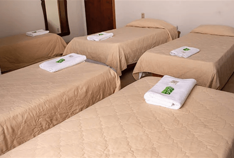 captura de tela 2026-02-12 181309.png