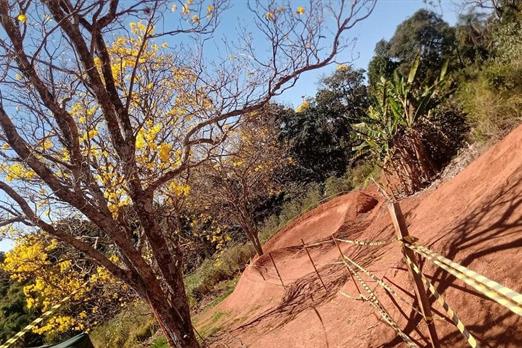 pista bike primavera.jpg