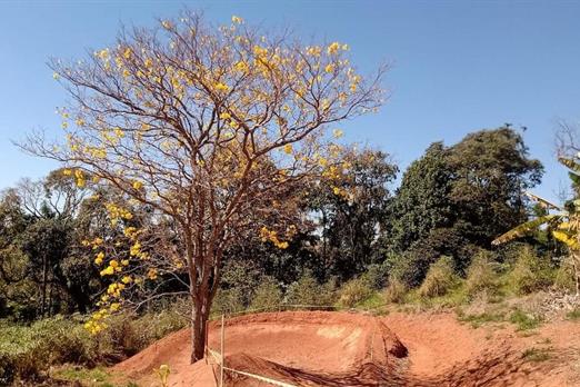 bow da pista de bike 7 curva.jpg