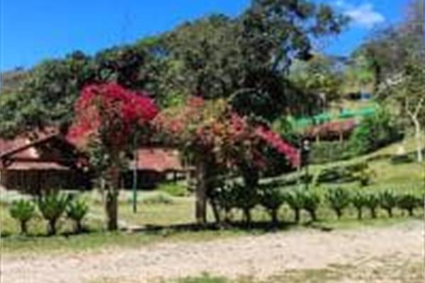 Foto 57 do Solar Fazenda do Cedro