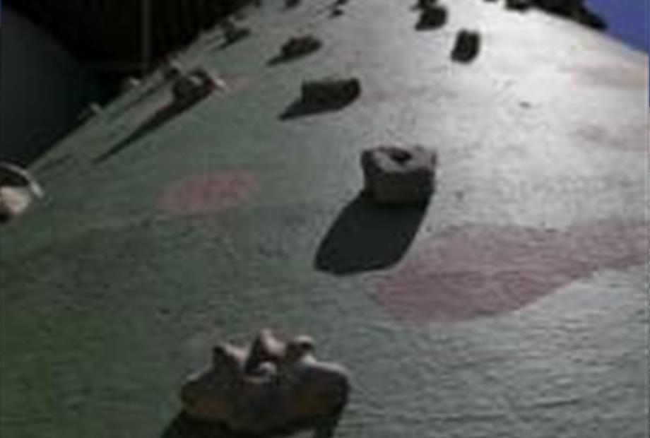 muto de escalada.jpg