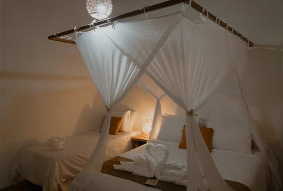 villa cacau floresta-227.jpg