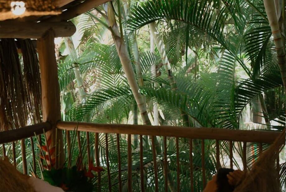 villa cacau floresta-254.jpg