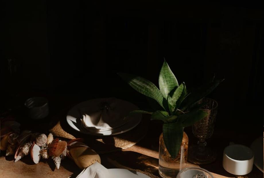 villa cacau floresta-747.jpg