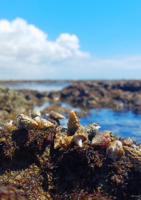 whatsapp image 2025-11-29 at 10.22.09 (2).jpeg