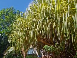 Hotel La Casa Di Pietra