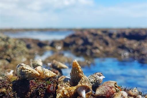 whatsapp image 2025-11-29 at 10.22.09 (2).jpeg