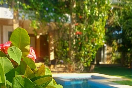 whatsapp image 2025-11-29 at 10.22.09.jpeg