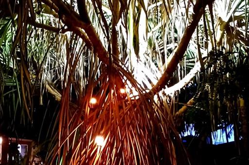 whatsapp image 2025-11-29 at 10.24.53 (1).jpeg