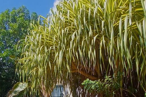 whatsapp image 2025-11-29 at 10.22.08.jpeg