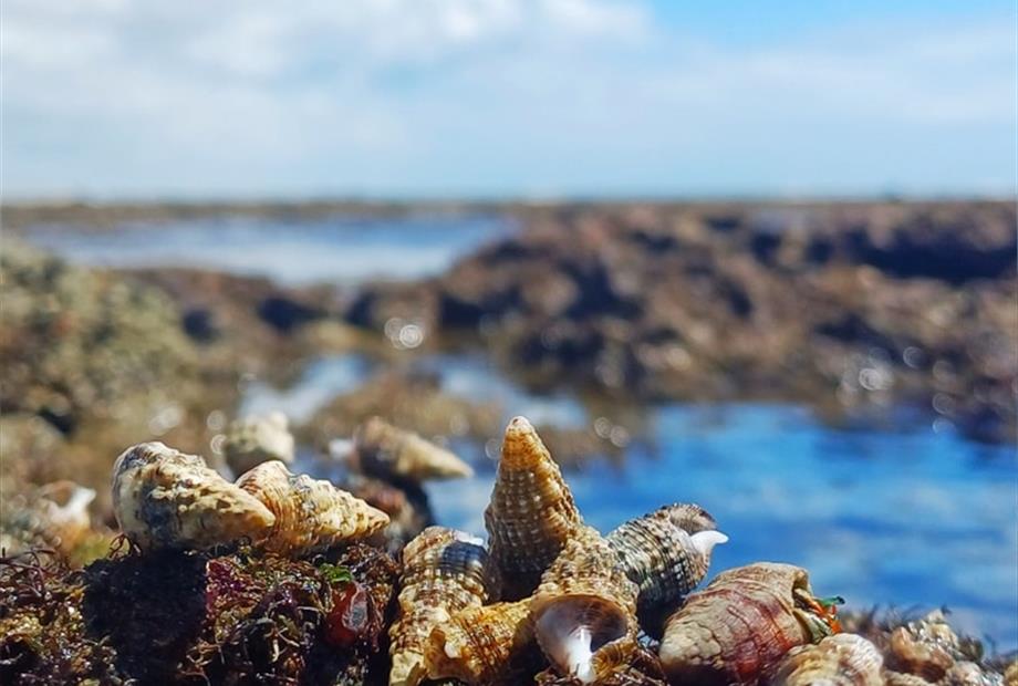 whatsapp image 2025-11-29 at 10.22.09 (2).jpeg