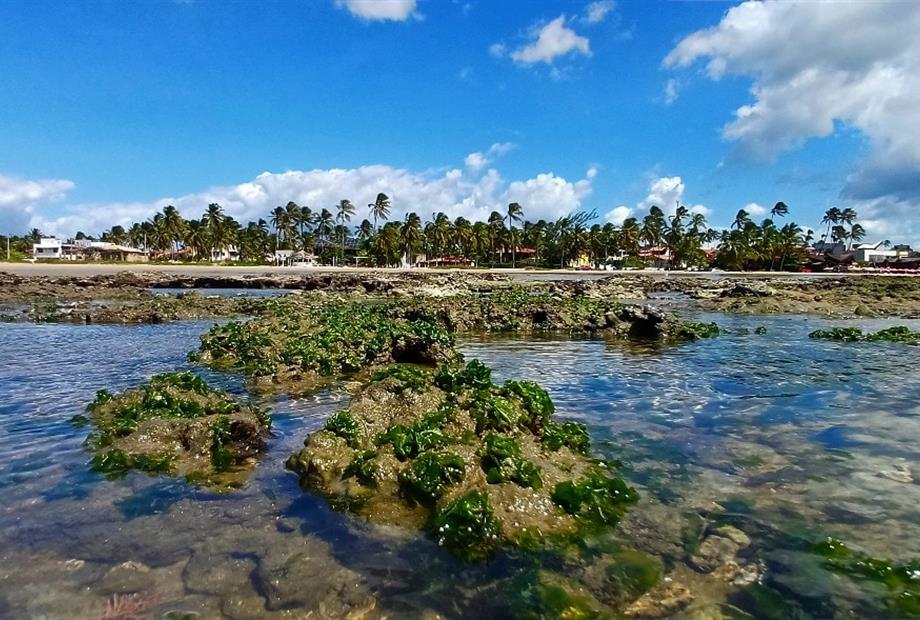 whatsapp image 2025-11-29 at 10.25.53 (1).jpeg