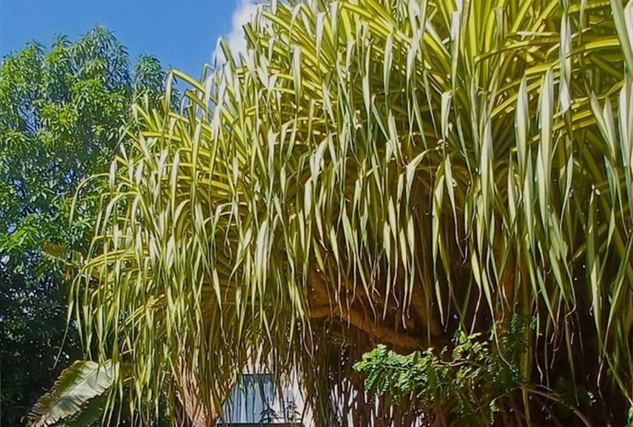 whatsapp image 2025-11-29 at 10.22.08.jpeg