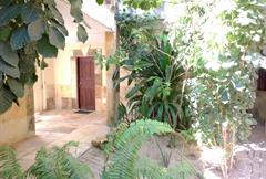 Standard Jardim Interno