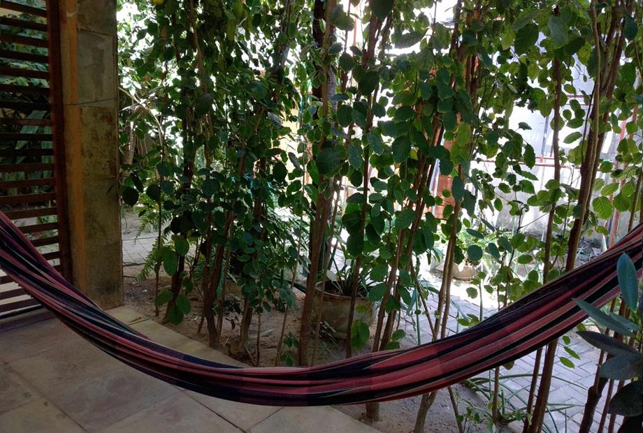 whatsapp image 2026-01-08 at 12.16.58 (23).jpeg