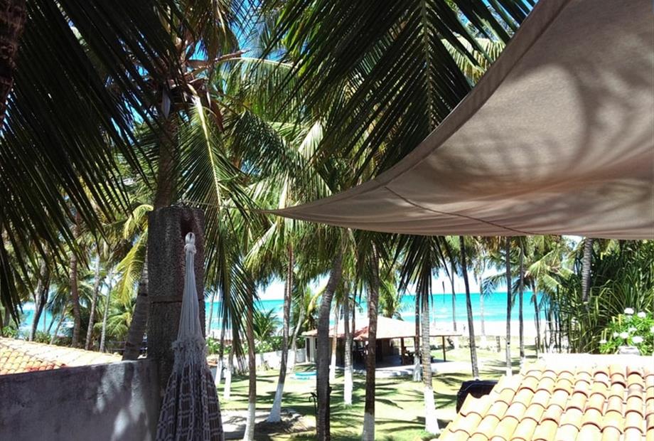 whatsapp image 2026-01-08 at 12.16.58 (26).jpeg