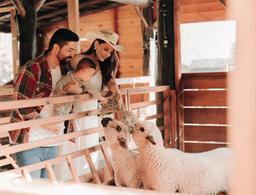 Quinta do Vale Cabanas
