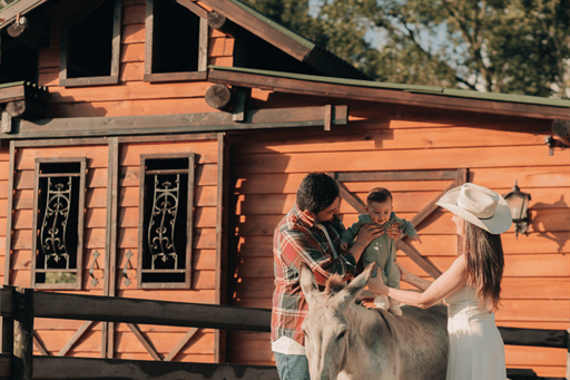 fotos formato site.png