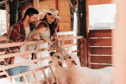 fotos formato site (1).png