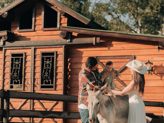 fotos formato site.png