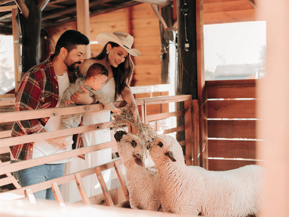 fotos formato site (1).png