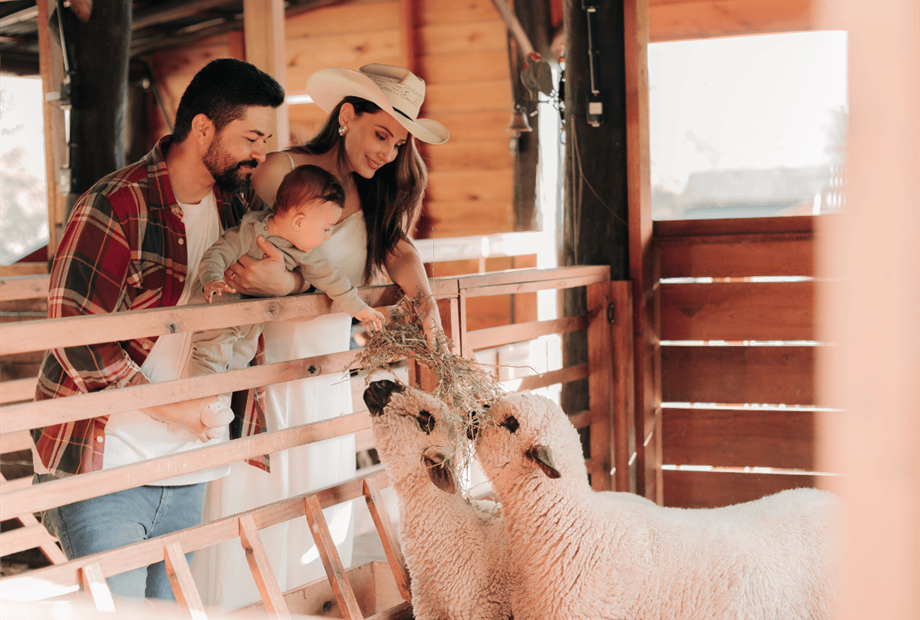 fotos formato site (1).png